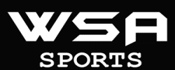 wsalogowebsite-1-1.png